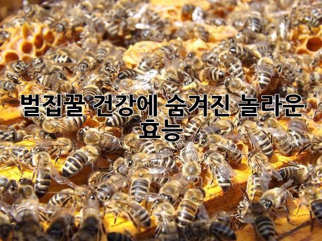 벌집꿀, 건강에 숨겨진 놀라운 효능🍯