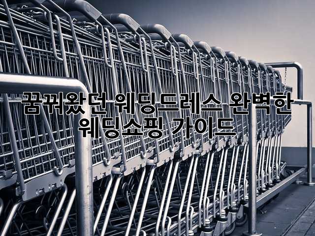 꿈꿔왔던 웨딩드레스, 완벽한 웨딩쇼핑 가이드 ✨