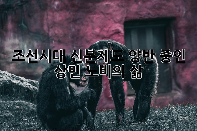 조선시대 신분제도: 양반, 중인, 상민, 노비의 삶