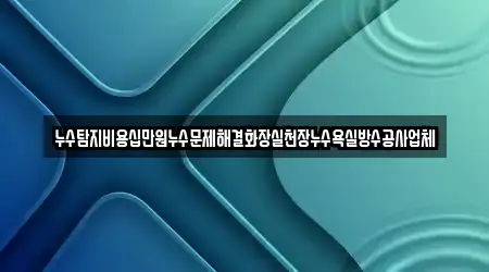 누수탐지비용십만원누수문제해결화장실천장누수욕실방수공사업체