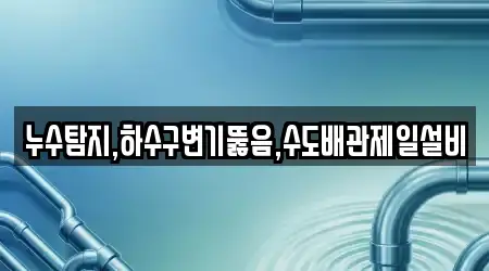 누수탐지,하수구변기뚫음,수도배관제일설비