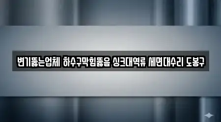 변기뚫는업체 하수구막힘뚫음 싱크대역류 세면대수리 도봉구