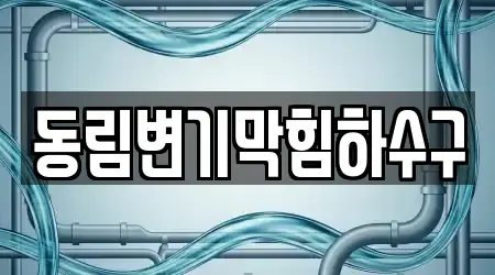 동림변기막힘하수구