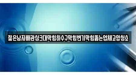 젊은남자배관싱크대막힘하수구막힘변기막힘뚫는업체고압청소