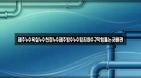 제주누수욕실누수천정누수제주방수누수탐지하수구막힘뚫는곳배관