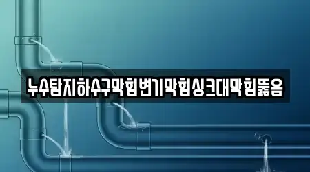 누수탐지하수구막힘변기막힘싱크대막힘뚫음