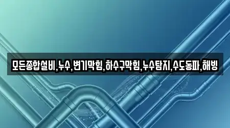 창원 신촌동에서 변기막힘 12곳을 가이드 보기