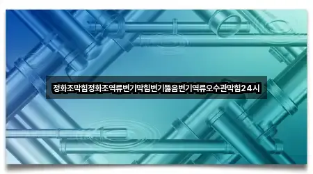 정화조막힘정화조역류변기막힘변기뚫음변기역류오수관막힘24시