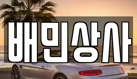강원 강릉시 성산면 중고차 전문 배민상사