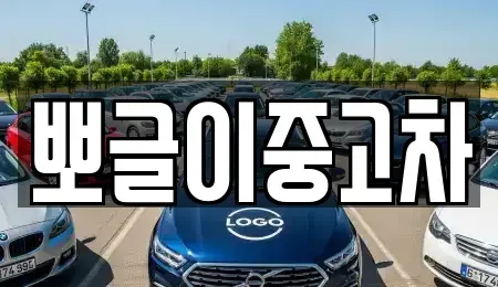 강원 강릉시 성산면 중고차매매 전문 뽀글이중고차