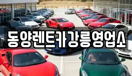 강원 강릉시 연곡면 렌트카 전문 동양렌트카강릉영업소