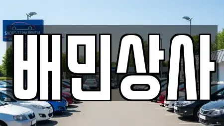강원 강릉시 연곡면 중고차 전문 배민상사