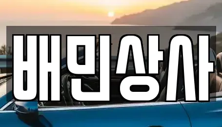 강원 삼척시 성남동 중고차매매 전문 배민상사