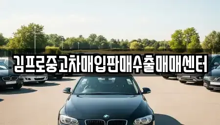 강원 삼척시 성남동 중고차매입 전문 김프로중고차매입판매수출매매센터
