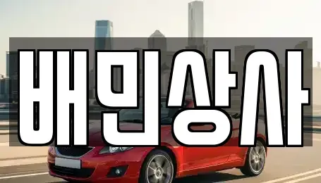 강원 삼척시 정상동 중고차매매 전문 배민상사