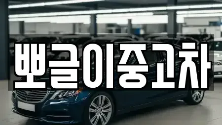 강원 삼척시 정상동 중고차매매 전문 뽀글이중고차