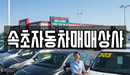 강원 속초시 조양동 중고차매매 전문 속초자동차매매상사