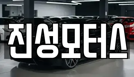 강원 속초시 조양동 중고차매매 전문 진성모터스