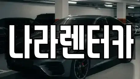 강원 원주시 단구동 렌트카 전문 나라렌터카