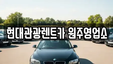 강원 원주시 단구동 렌트카 전문 현대관광렌트카 원주영업소