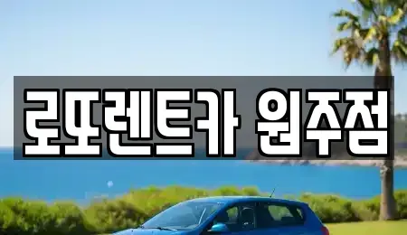 강원 원주시 단구동 장기렌트카 전문 로또렌트카 원주점