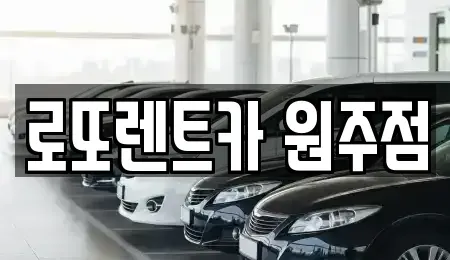 강원 원주시 단구동 장기렌트카 전문 로또렌트카 원주점