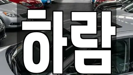 강원 원주시 단구동 장기렌트카 전문 하람