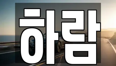 강원 원주시 단구동 장기렌트카 전문 하람