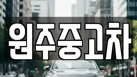 강원 원주시 단구동 중고차매매 전문 원주중고차