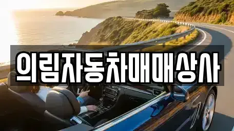강원 원주시 신림면 중고차 전문 의림자동차매매상사