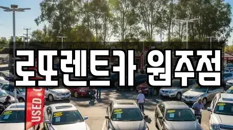 강원 원주시 원동 장기렌트카 전문 로또렌트카 원주점