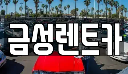 강원 춘천시 칠전동 렌트카 전문 금성렌트카