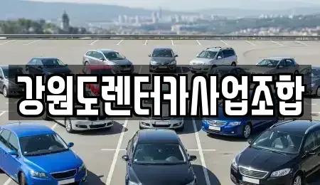 강원 태백시 황지동 렌트카 전문 강원도렌터카사업조합