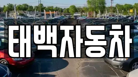 강원 태백시 황지동 중고차매매 전문 태백자동차