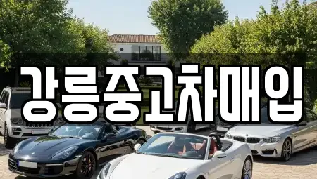 강원특별자치도 강릉시 내곡동 중고차매입 전문 강릉중고차매입