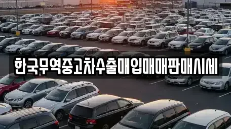 강원특별자치도 강릉시 내곡동 중고차매입 전문 한국무역중고차수출매입매매판매시세