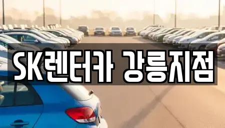 강원특별자치도 강릉시 성남동 장기렌트카 전문 SK렌터카 강릉지점