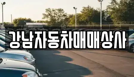 강원특별자치도 강릉시 성남동 중고차매매 전문 강남자동차매매상사