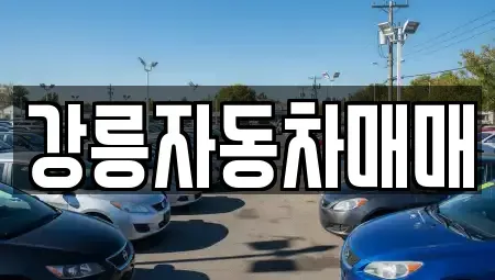 강원특별자치도 강릉시 성남동 중고차매매 전문 강릉자동차매매