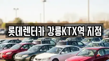 강원특별자치도 강릉시 포남동 렌트카 전문 롯데렌터카 강릉KTX역 지점