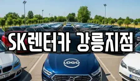 강원특별자치도 강릉시 포남동 장기렌트카 전문 SK렌터카 강릉지점