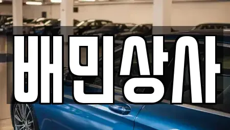 강원특별자치도 강릉시 포남동 중고차매매 전문 배민상사
