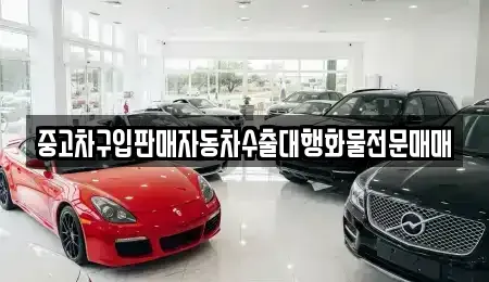 강원특별자치도 강릉시 포남동 중고차매매 전문 중고차구입판매자동차수출대행화물전문매매