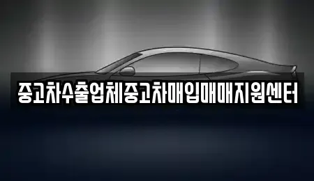 강원특별자치도 강릉시 포남동 중고차매매 전문 중고차수출업체중고차매입매매지원센터