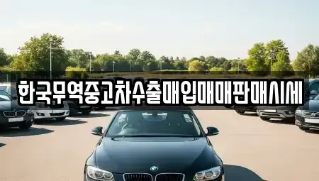 강원특별자치도 강릉시 포남동 중고차매매,단기렌트카,중고차매입,장기렌트카,중고차,렌트카