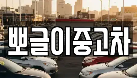강원특별자치도 동해시 만우동 중고차매매 전문 뽀글이중고차