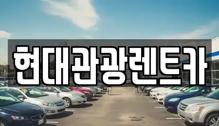 강원특별자치도 속초시 대포동 렌트카 전문 현대관광렌트카