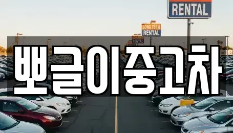 강원특별자치도 속초시 대포동 중고차 전문 뽀글이중고차