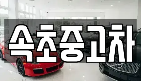 강원특별자치도 속초시 대포동 중고차,렌트카,중고차매입,중고차매매,장기렌트카,단기렌트카