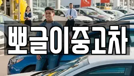 강원특별자치도 속초시 도문동 중고차매매 전문 뽀글이중고차